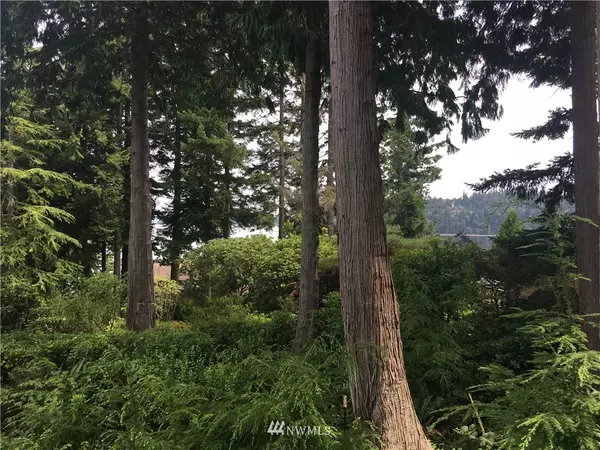 Port Ludlow, WA 98365,9999 Libby CT