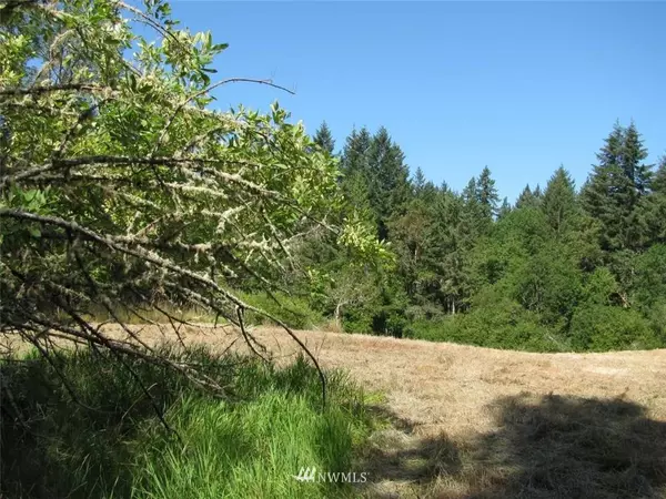 Anderson Island, WA 98303,13408 Lovass RD