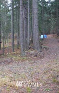 620 Fawn RD, Cle Elum, WA 98922