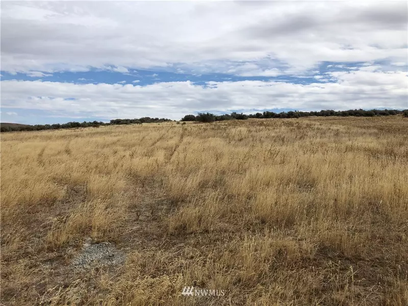 642 XX Buckskin LN, Ellensburg, WA 98926