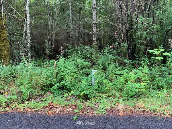 0 XXXX 189th AVE NW, Gig Harbor, WA 98329