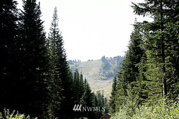 Snoqualmie Pass, WA 98068,0 Lot 5 Mountain Home RD