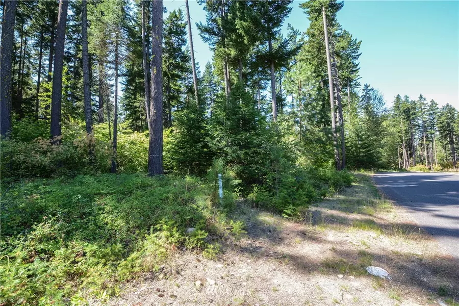 1341 Snowberry LOOP, Cle Elum, WA 98922