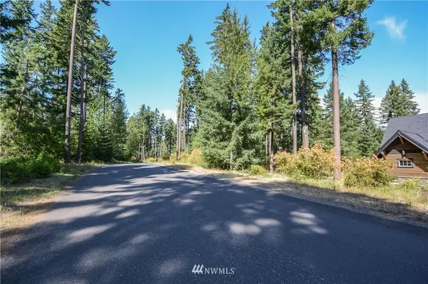 Cle Elum, WA 98922,1341 Snowberry LOOP