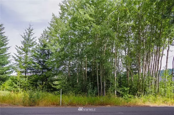 Cle Elum, WA 98922,0 Lot 2 St Andrews DR