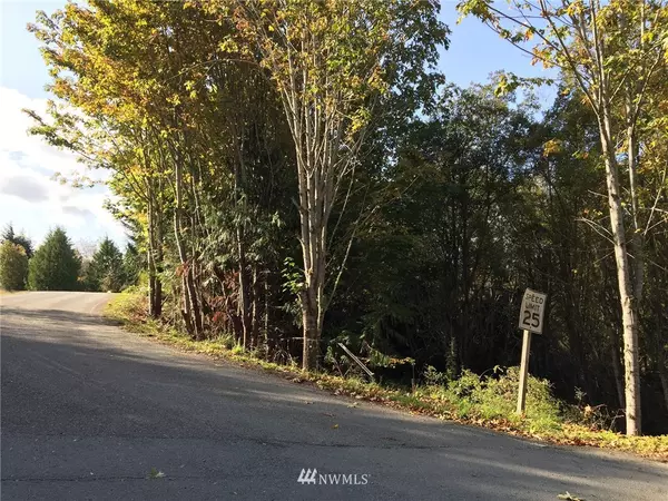 Port Angeles, WA 98363,9999 Lot 1 Lake Farm RD