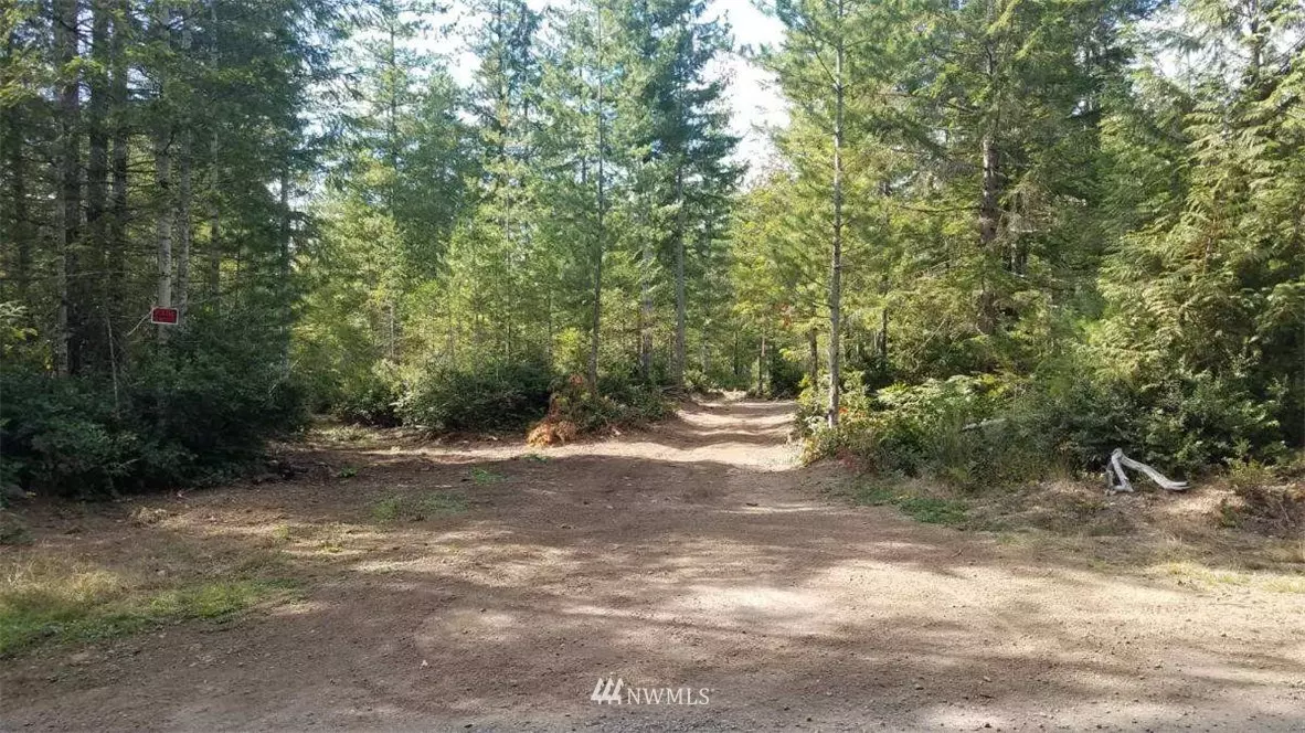 Belfair, WA 98528,410 NE Trudeau Mountain RD