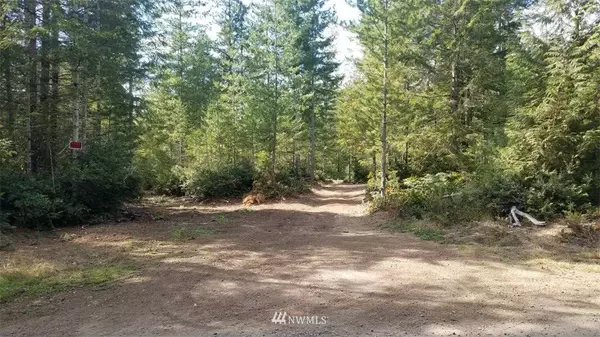 410 NE Trudeau Mountain RD, Belfair, WA 98528