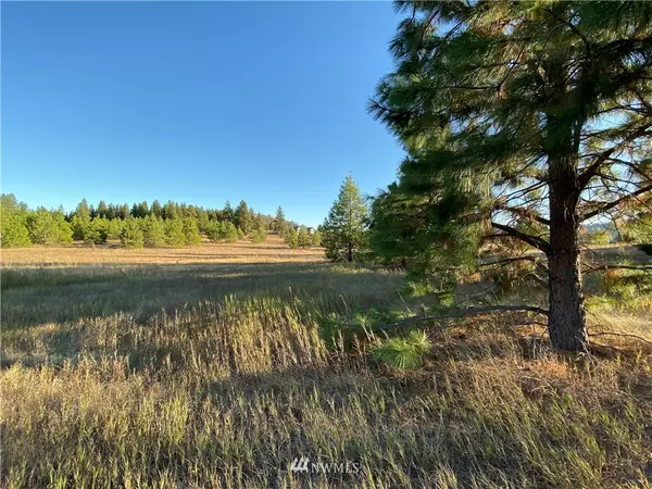 Cle Elum, WA 98922,0 Lot 11 Leo LN