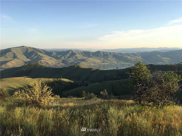 97 Horizon LN, Chelan, WA 98816