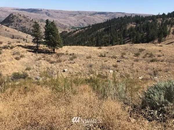 0 Union Valley RD, Chelan, WA 98816