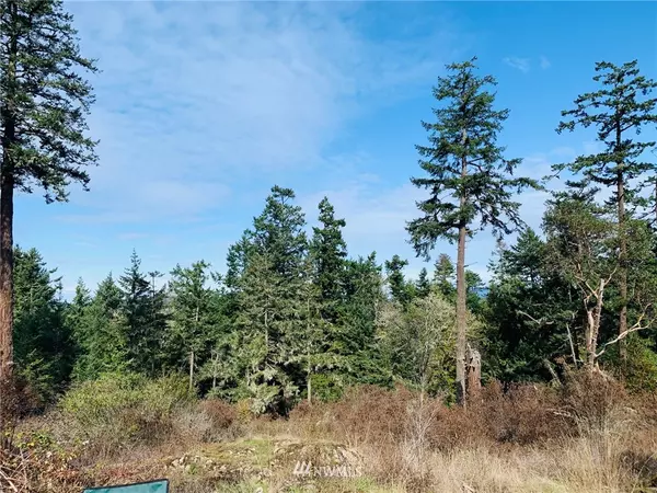 San Juan Island, WA 98250,642 Evergreen LN