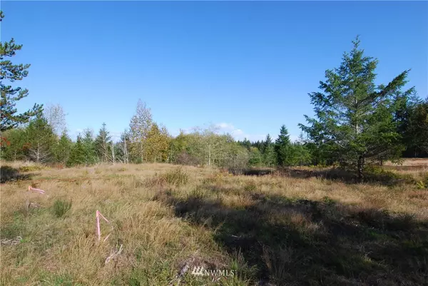 Shelton, WA 98584,0 Lot 4 E Timber Ridge