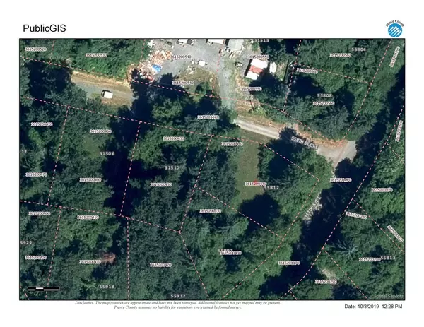 55902 317th AVE E, Ashford, WA 98304