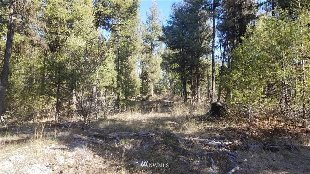 Oroville, WA 98844,102 Corral DR