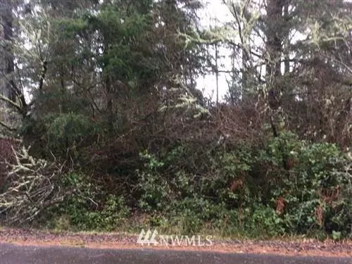 664 Sollecks AVE SE, Ocean Shores, WA 98569