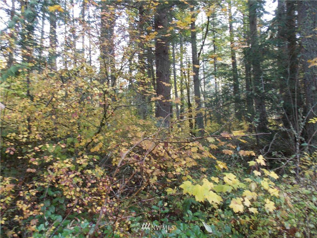 14248 Beaver DR SE, Rainier, WA 98576