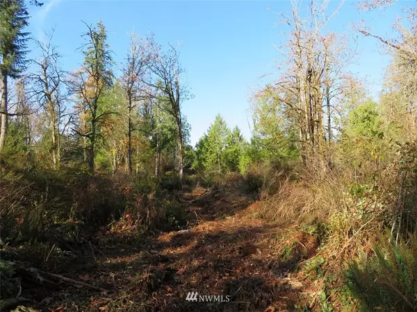 Port Orchard, WA 98366,0 Lot 4 SE Yeshua LN