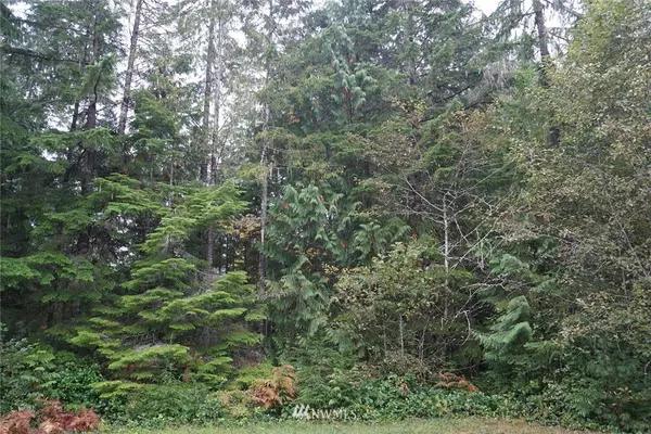 31 N Ruddy PL, Hoodsport, WA 98548