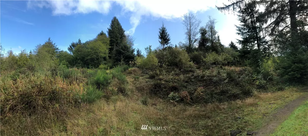 Raymond, WA 98577,0 xxx Rue Creek Rd