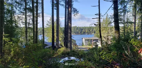 Grapeview, WA 98546,1320 E Mason Lake Dr. E