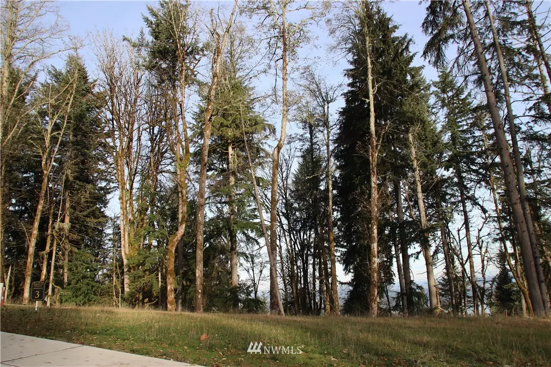 Bellevue, WA 98006,17845 SE Cougar Mountain DR #Lot 3