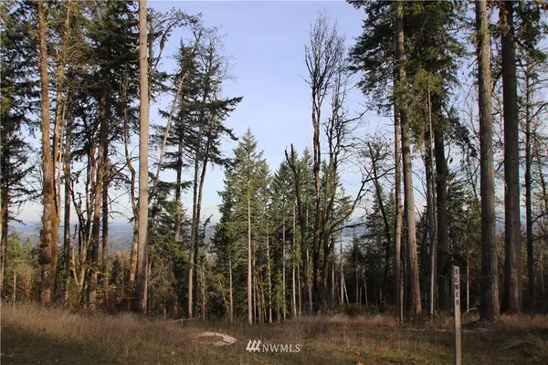 Bellevue, WA 98006,17845 SE Cougar Mountain DR #Lot 4