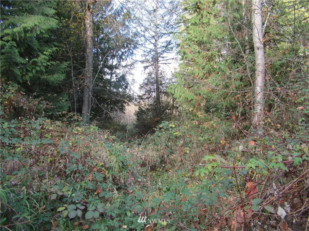 Lake Stevens, WA 98258,13119 74th ST NE