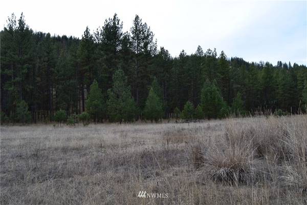 9 Sorona WAY W, Tonasket, WA 98855