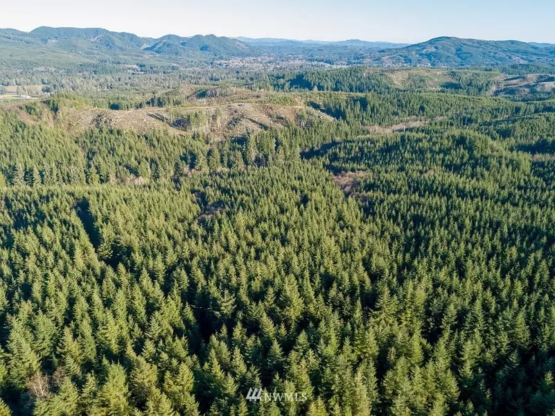 2 Dell Creek Mainline, Naselle, WA 98638