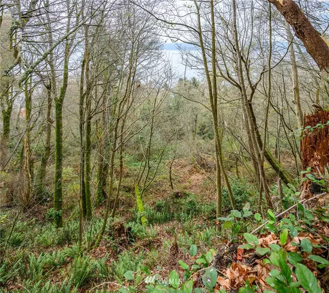 1280 x SW 300th ST, Vashon, WA 98070