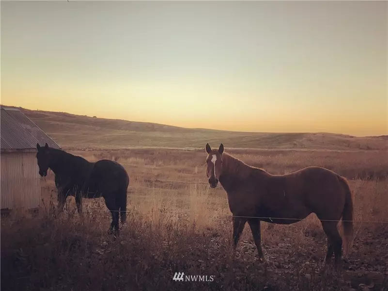 3557 F RD, Moses Lake, WA 98837