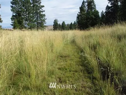 99 Undeveloped, Mansfield, WA 98830