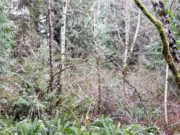 0 71st StCt NW, Gig Harbor, WA 98335