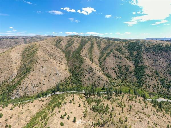 10383 Mud Creek RD, Entiat, WA 98822