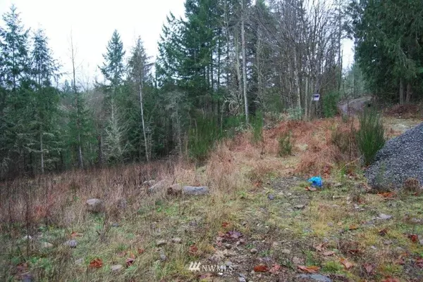 15907 261st AVE E, Buckley, WA 98321