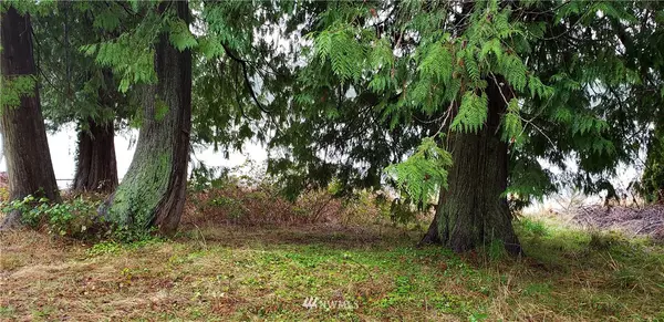 Tenino, WA 98589,14730 Cedarwood DR SE