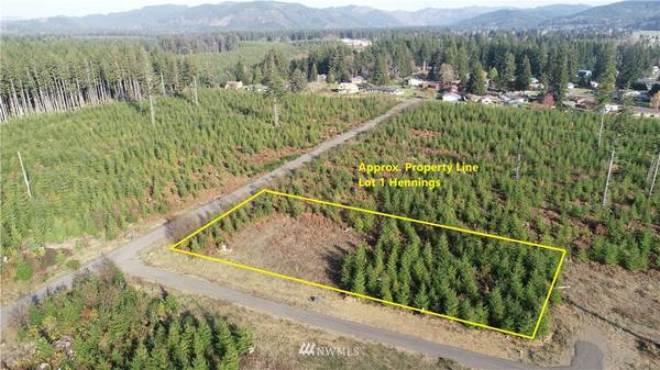 9999 Lot 1 Hennings SP, Forks, WA 98331