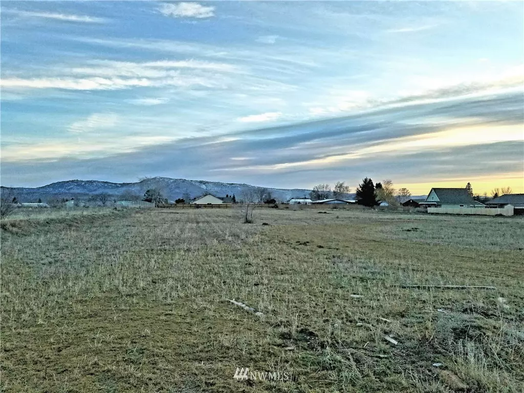 Omak, WA 98841,0 TBD Koala Ave