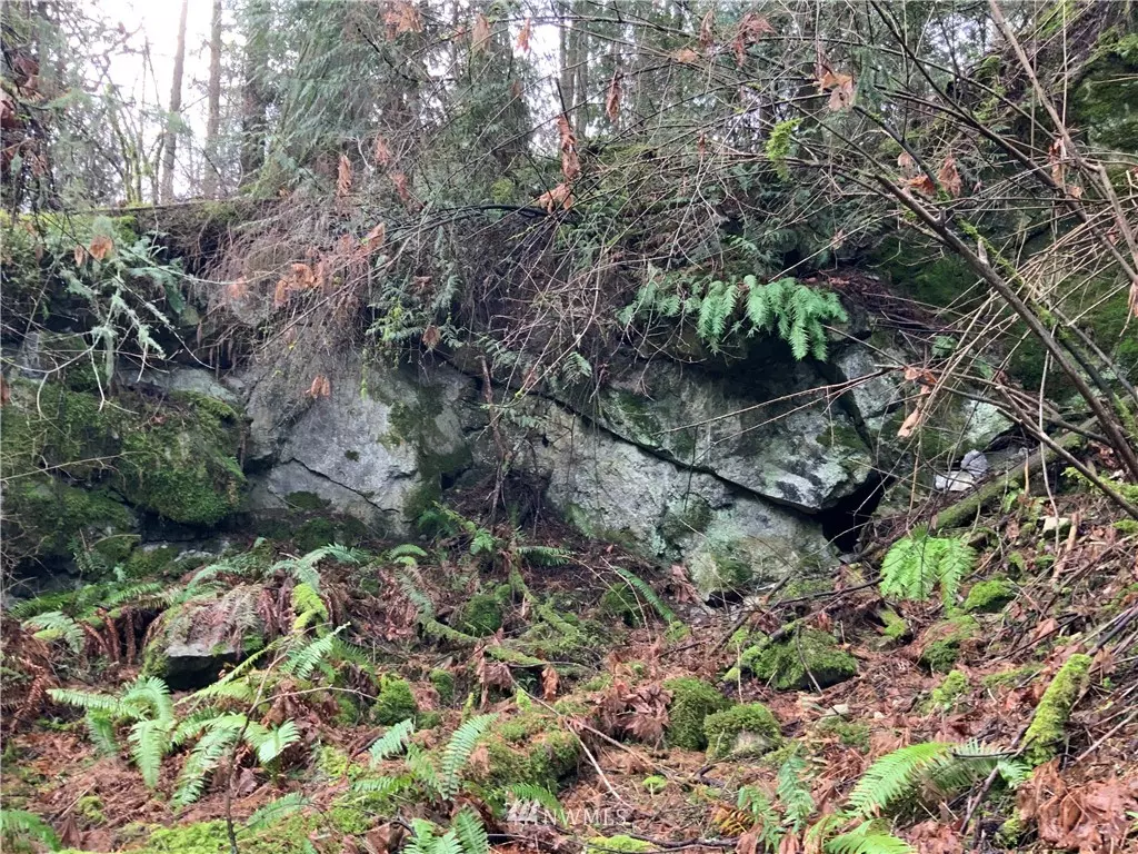 Orcas Island, WA 98245,510 Lookout Loop