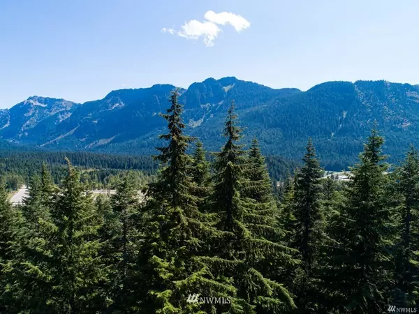 Snoqualmie Pass, WA 98068,180 Innsbruck DR