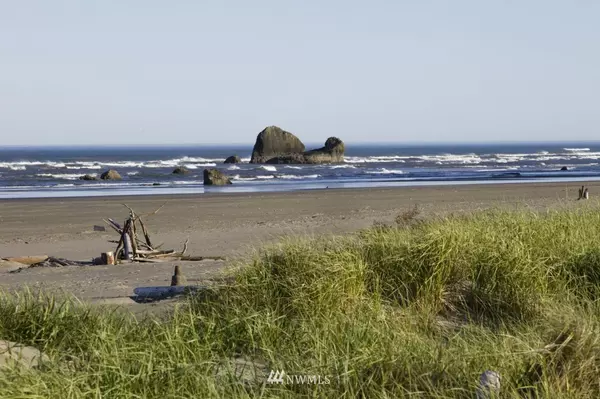 Copalis Beach, WA 98535,27 Copalis Rock LN S