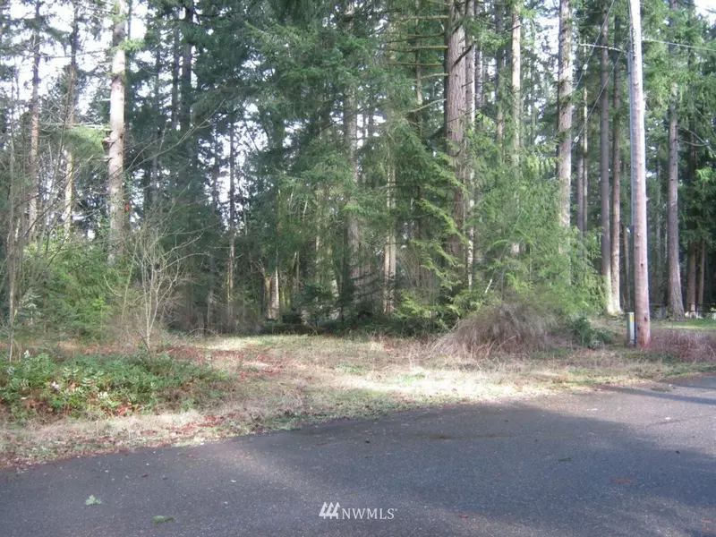 17521 Loop LN SE, Yelm, WA 98597