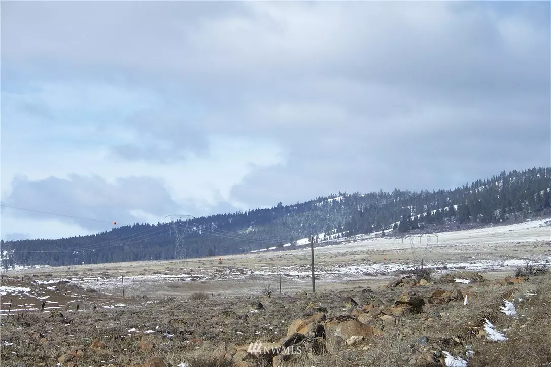 Ellensburg, WA 98922,0 Lot 1A Upper Green Canyon RD