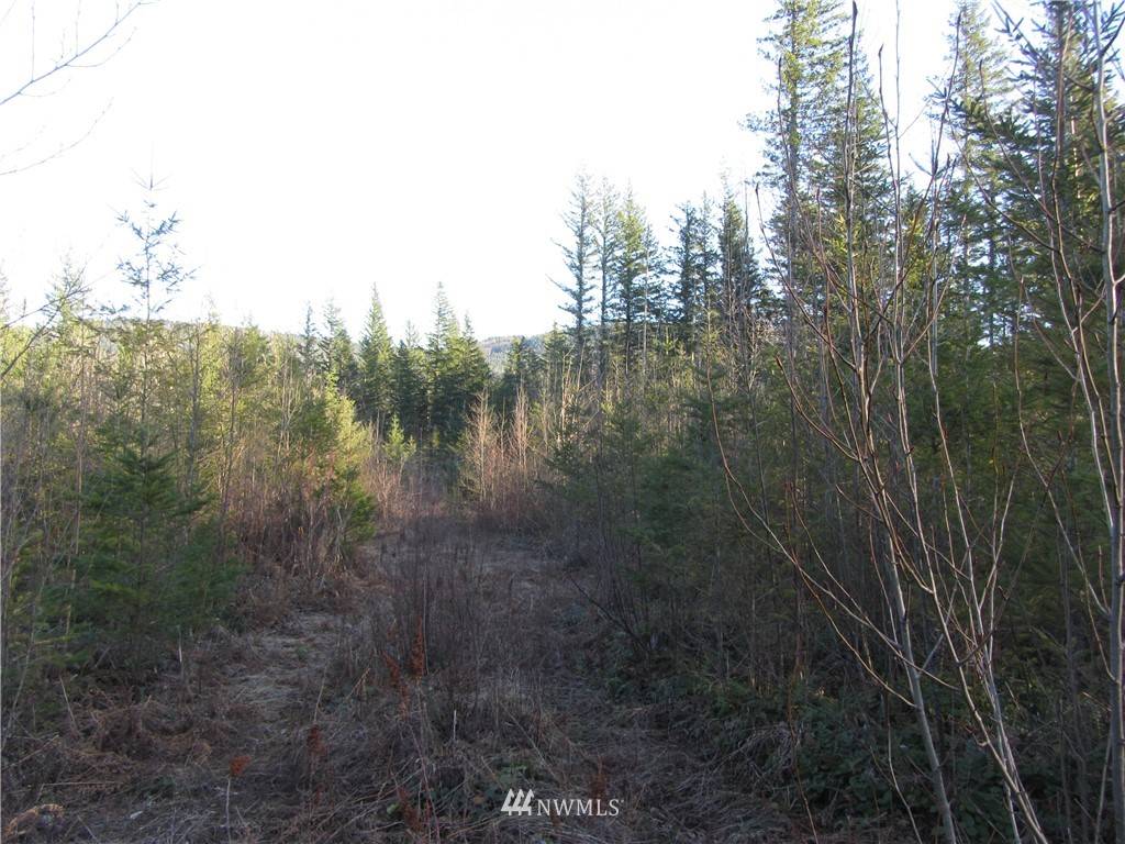 9122 Heady RD, Sumas, WA 98295