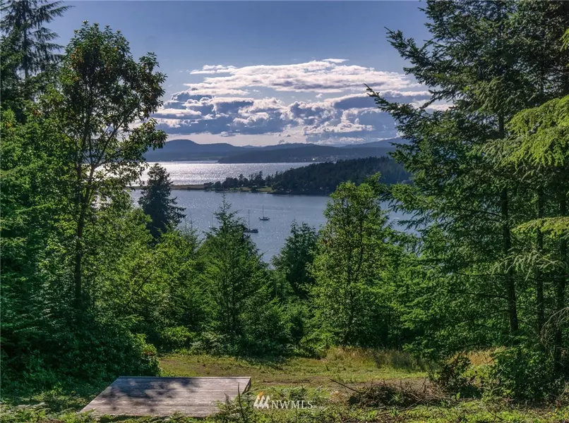 0 Lot #9 Rum Rummer RD, Lopez Island, WA 98261