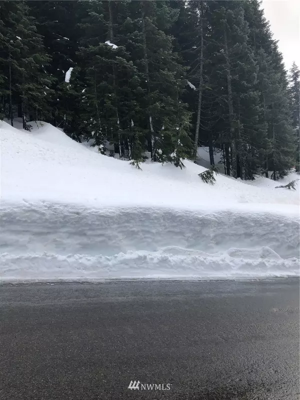 Snoqualmie Pass, WA 98068,14 Ober Strasse