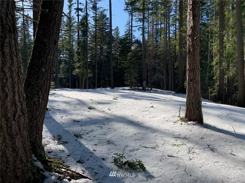 230 Easy ST, Ronald, WA 98940