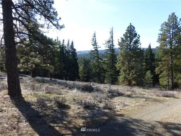 Cle Elum, WA 98922,0 XXX Thorp Prairie Road  Lot A