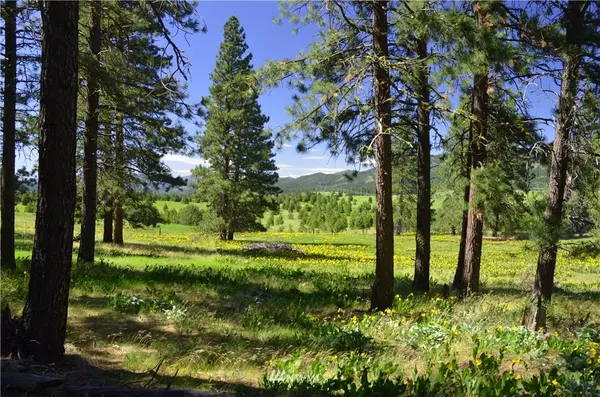 Cle Elum, WA 98922,0 Lot 4A Hidden Valley RD